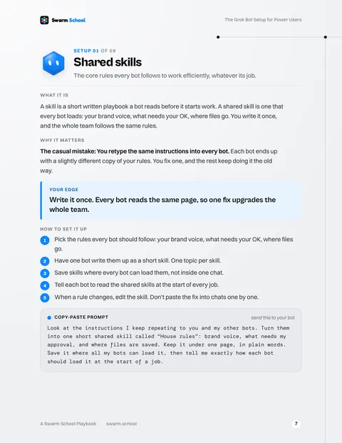 Page 7: Setup 1, Shared skills, with its copy-paste prompt